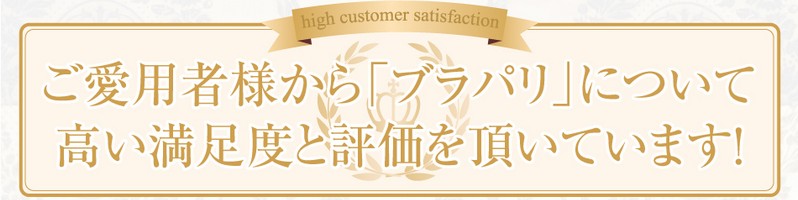 バストを盛りたい女子のシリコンブラ【ブラパリ】情報サイト